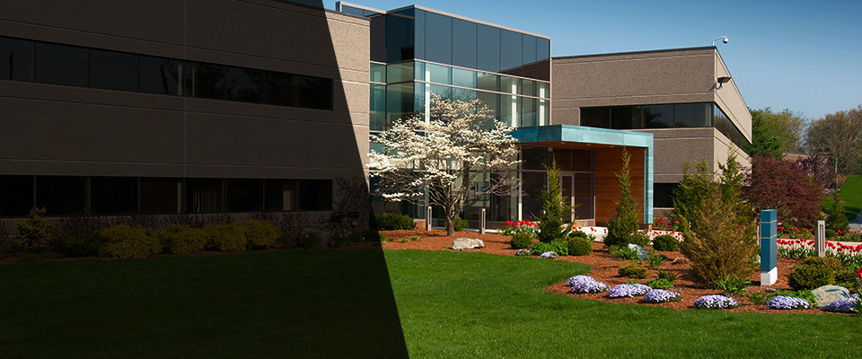 Carthage Landscapers