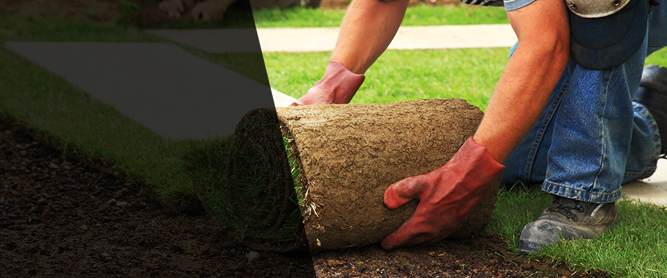 Carthage Landscapers